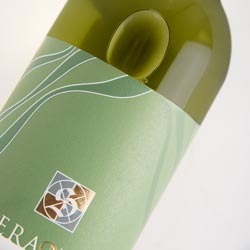 Pinot Grigio