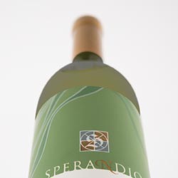 Pinot Grigio